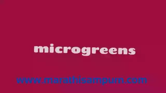 microgreens
