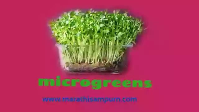microgreens
